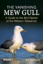 The Vanishing Mew Gull