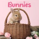 Bunnies Square Mini Calendar 2026