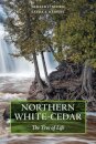 Northern White-Cedar