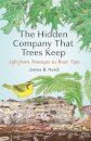 The Hidden Company That Trees Keep