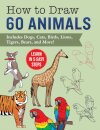 How to Draw Animals