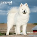 Samoyed Wall