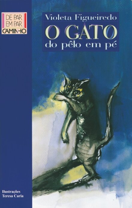 Gato De Pêlo Em Pé