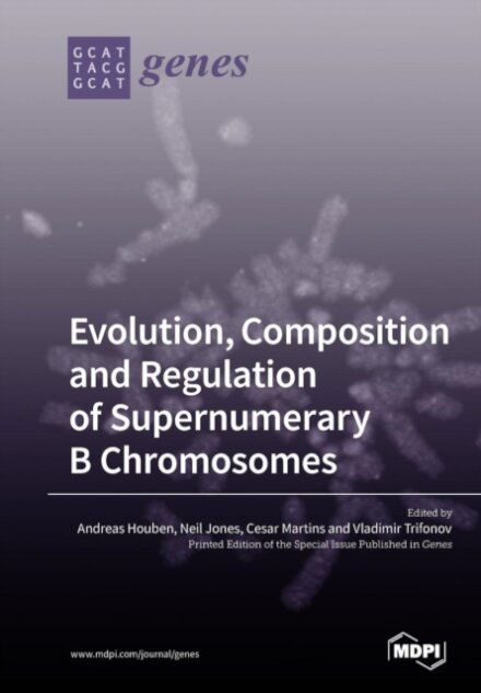 Evolution, Composition and Regulation of Supernumerary B Chromosomes