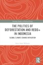 The Politics of Deforestation and REDD+ in Indonesia