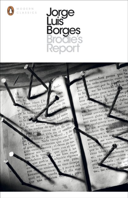 Brodiesâ´S Report