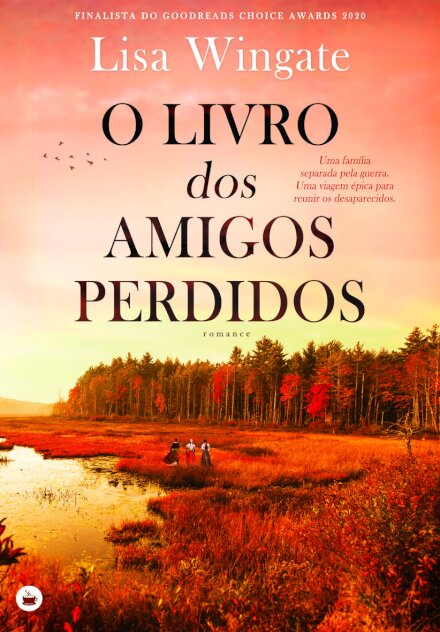 O Livro dos Amigos Perdidos