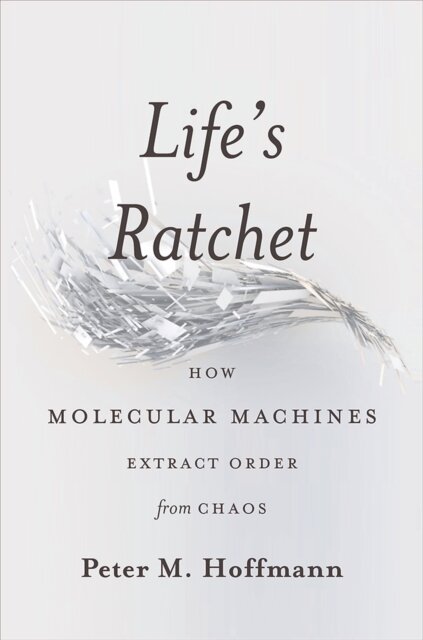 Life's Ratchet