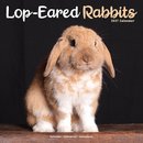 Lop eared Rabbits W