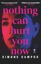 Nothing Can Hurt You Now