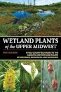 Wetland Plants of the Upper Midwest
