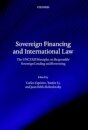 Sovereign Financing and International Law
