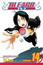 Bleach, Vol. 14