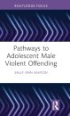 Pathways to Adolescent Male Violent Offending