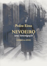 Nevoeiro - Uma Investigação