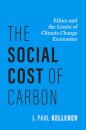 The Social Cost of Carbon