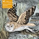 Adult Sustainable Jigsaw Puzzle Angela Harding: Marsh Owl