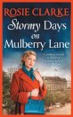 Stormy Days On Mulberry Lane