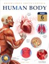 Knowledge Encyclopedia For Children: Human Body