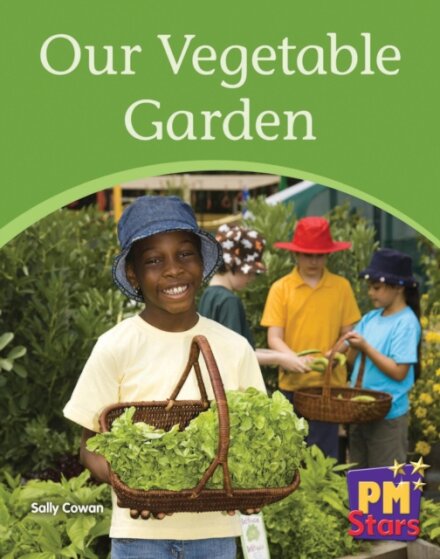 Our Vegetable Garden