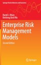 Enterprise Risk Management Models