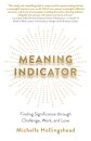 Meaning Indicator