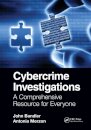 Cybercrime Investigations