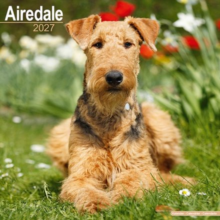 Airedale Terrier Wall
