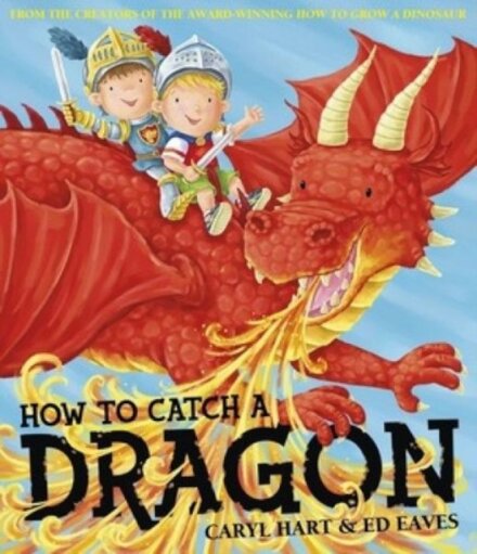 How To Catch A Dragon