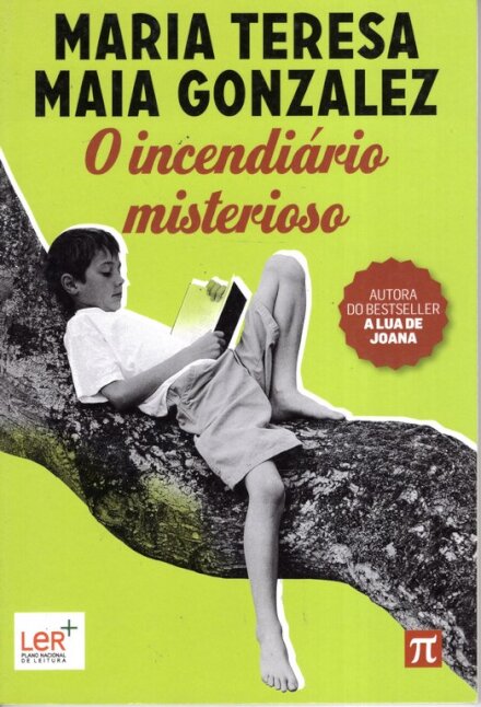 O Incendiario Misterioso