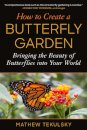 How to Create a Butterfly Garden