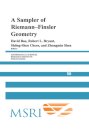 A Sampler of Riemann-Finsler Geometry