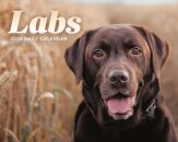 Labs Box Calendar 2026