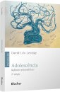 Adolescência: Reflexões Psicanalíticas