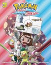 Pokemon Sword & Shield V3