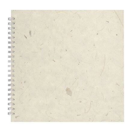 11x11 Posh Black Display 25lvs Natural Banana