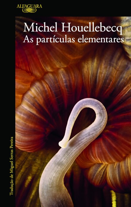 As Partículas Elementares