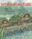 When Rain Falls