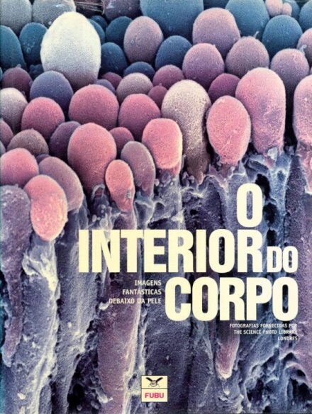 O Interior do Corpo