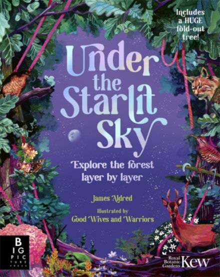 Under The Starlit Sky
