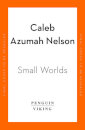 Small Worlds