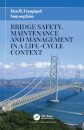 Bridge Safety, Maintenance and Management in a Life-Cycle Context