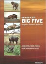 Em Busca dos Big Five