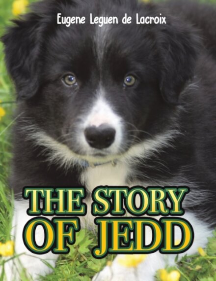 The Story of Jedd