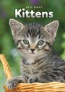 Kittens A5 Engagement Diary