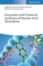 Enzymatic and Chemical Synthesis of Nucleic Acid Derivatives