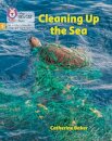 Cleaning up the Sea