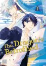 Dragon's Betrothed, Vol. 1