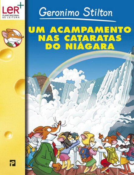 Um Acampamento Nas Cataratas Do Niagara