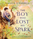 The Boy Who Lost His Spark